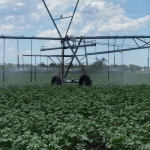 Smarter irrigation rig from NCEA