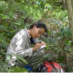 Researcher working in forest