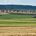 Rural cropping in Queensland