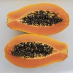 Papaya fruit research from CFNAS