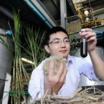 Researcher holding pulped sugar cane and biofuel