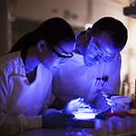 Two researcher examine specimen under UV light brom AIBN