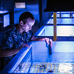 Researcher working at National Sea Simulator