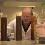 Scientist examining tubes of discoloured water