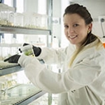 Researcher working with samples